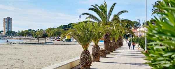 Horizontal Image Panoramic View San Pedro Del Pinatar Palm Trees — Stock Photo, Image