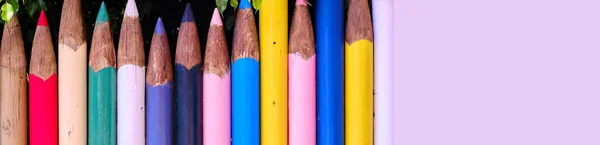 Horizontal Wide Image Bright Colour Fence Made Huge Size Pencils — Stock Photo, Image