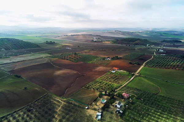 Légi Kép Fotó Mezőgazdasági Mezők Sevilla Andalúzia Spanyolország — Stock Fotó