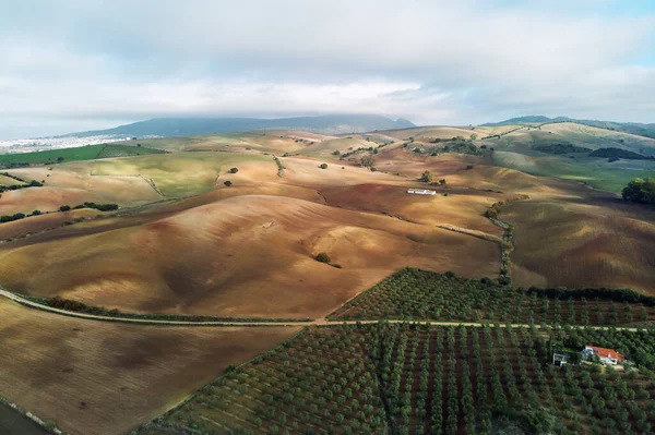Luchtfoto Foto Landbouwvelden Sevilla Andalusië Spanje — Stockfoto