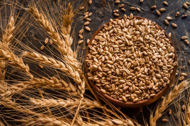 Buğday ve buğday tanelerinin kase