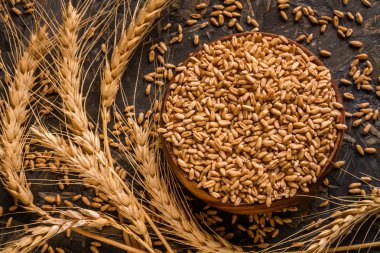 Buğday ve buğday tanelerinin kase