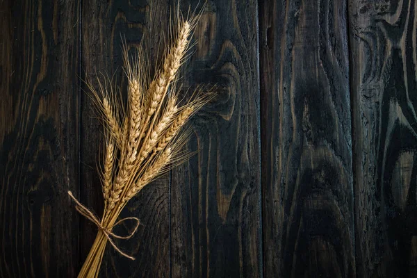 Mavi arkaplanda buğday kulakları