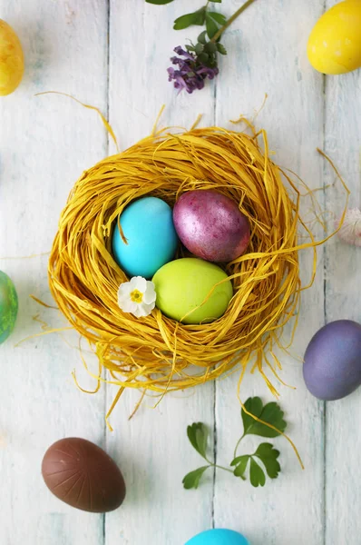 Nest mit bemalten Eiern. Ansicht von oben — Stockfoto