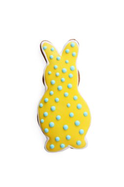 Paskalya tavşanı, izole