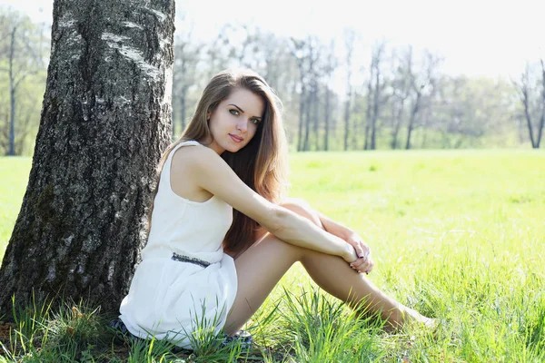 座っている女の子が、草原の木の下で — ストック写真