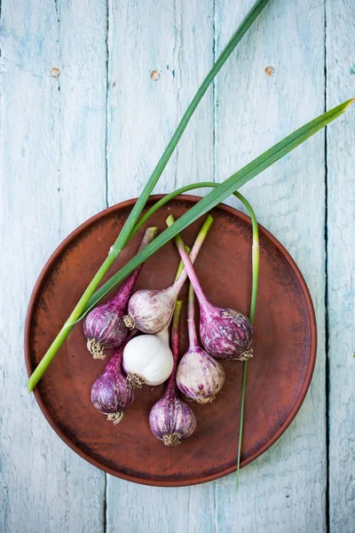 Aglio in una ciotola — Foto Stock