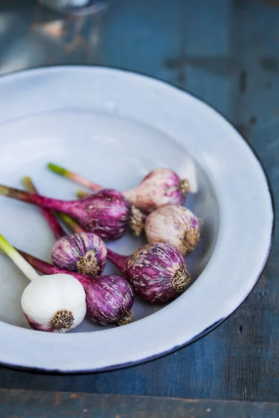 Purple Garlic in a bowl