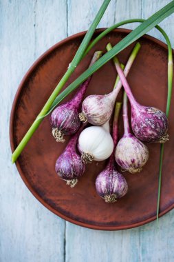 Bir kase içinde genç mor sarımsak