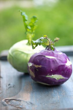 sebze yetiştirilmektedir lahana