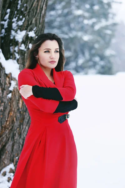 Linda morena em um vestido vermelho — Fotografia de Stock