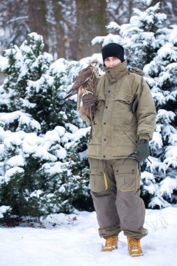 Bir adam bir şahin kış ile