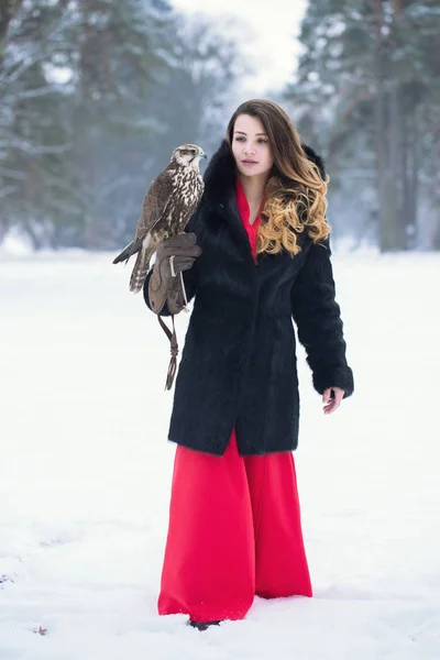 Una donna cammina con un falco — Foto Stock