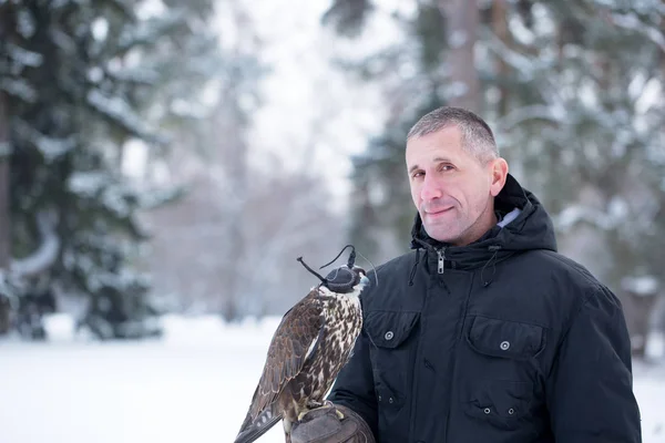 Man with a falcon — Stock Photo, Image