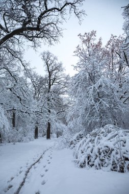 Yolun ıslak ayak izleri