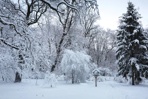 Bird feeder in the winter park — Stock Photo, Image