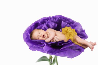 büyük bir çiçek bebek uyur