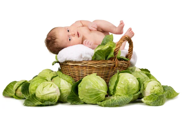Pasgeboren baby in een mand — Stockfoto