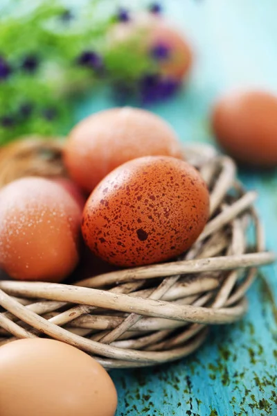 Hühnereier im Nest, Nahaufnahme — Stockfoto