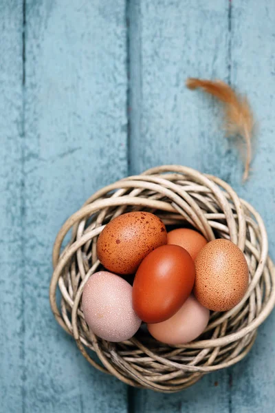 Schöne rohe Eier im Nest — Stockfoto