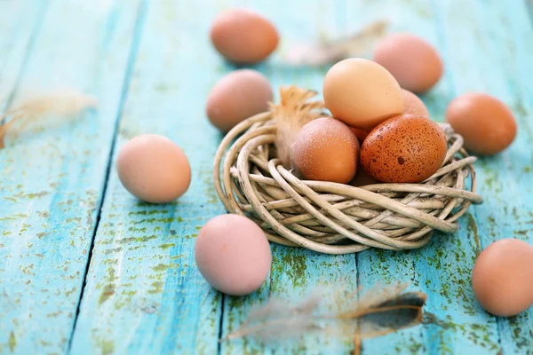 Eier im Weidennest — Stockfoto