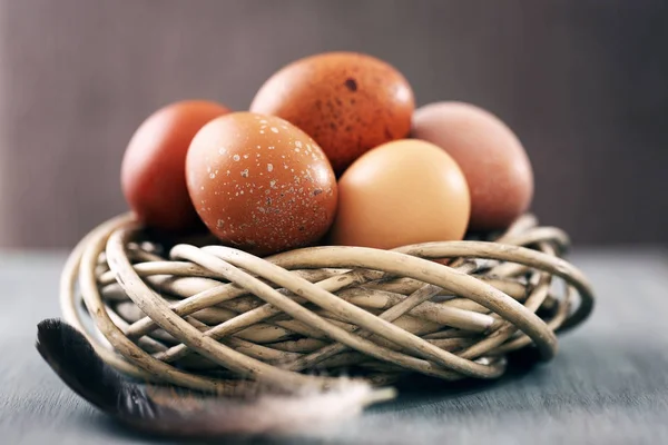 Vögel nisten mit Eiern, Nahaufnahme — Stockfoto