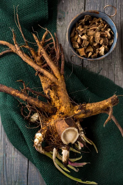 Preparación de la raíz medicinal del páncreas —  Fotos de Stock