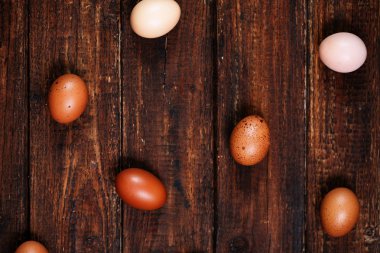 Koyu arkaplanda yumurtalar