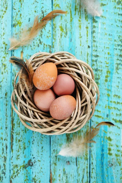Easter eggs in  nest — Stock Photo, Image