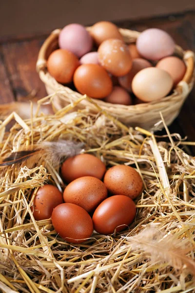 Gospodarstwo ekologiczne jaja w gnieździe — Zdjęcie stockowe