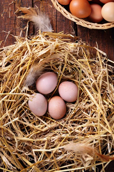 Farm eggs in the nest — Stock Photo, Image