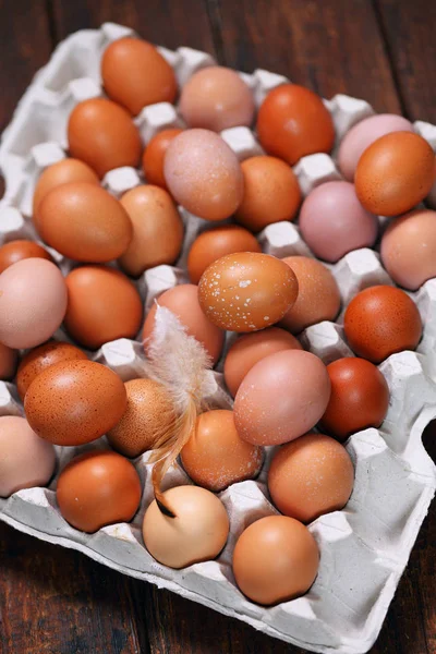 Ägg i facket — Stockfoto