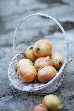 Sepet bir rustik tarzda soğanlı