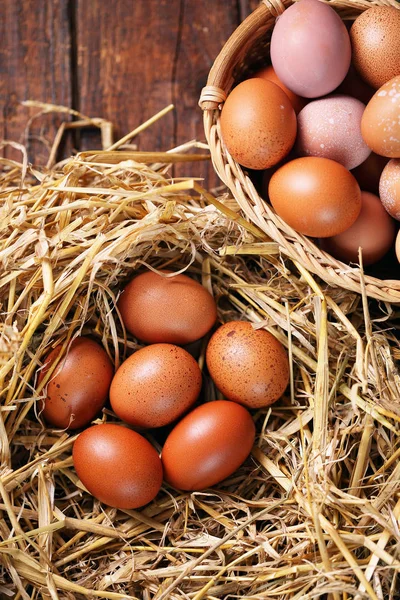Ekologiczne jaja w gnieździe, przyciemniane — Zdjęcie stockowe
