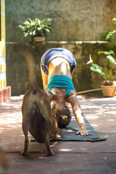 Dziewczyna jest zaangażowana w jogę — Zdjęcie stockowe