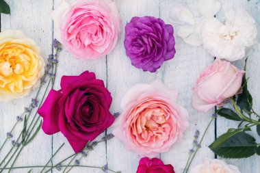 Çok renkli gül topluluğu