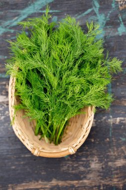 koyu arka plan üzerine dereotu