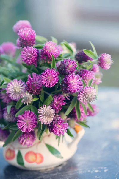 Bouquet of clover — Stock Photo, Image