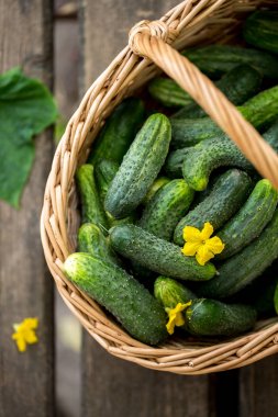 bir sepet içinde gevrek salatalık