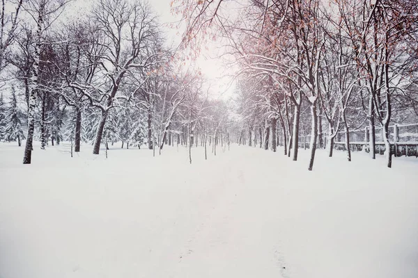 Paisaje invernal en un parque urbano — Foto de Stock