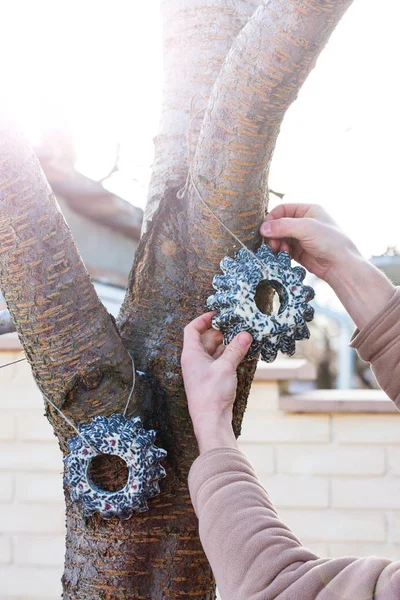 A man hangs garlands of seeds for feeding birds — Stock Photo, Image