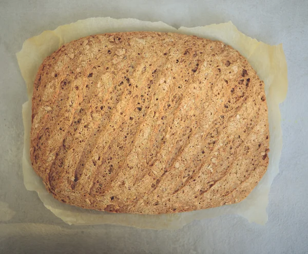 Fresh baked bread on gray ceramic background — Stock Photo, Image