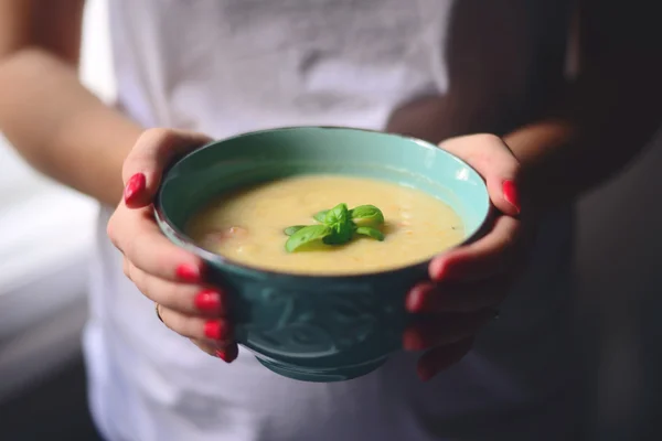 女人手里拿着碗用自制蔬菜汤-健康 — 图库照片