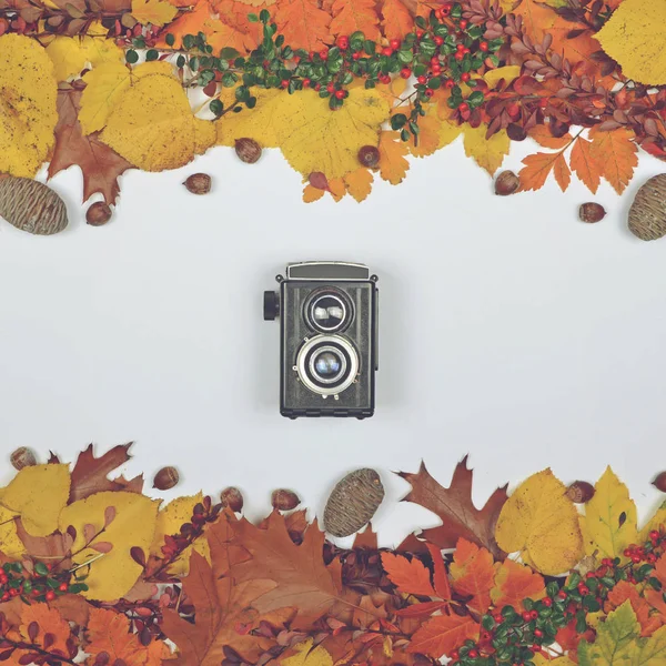 Podzimní listí kužely a žalud na bílém pozadí s vintage c — Stock fotografie