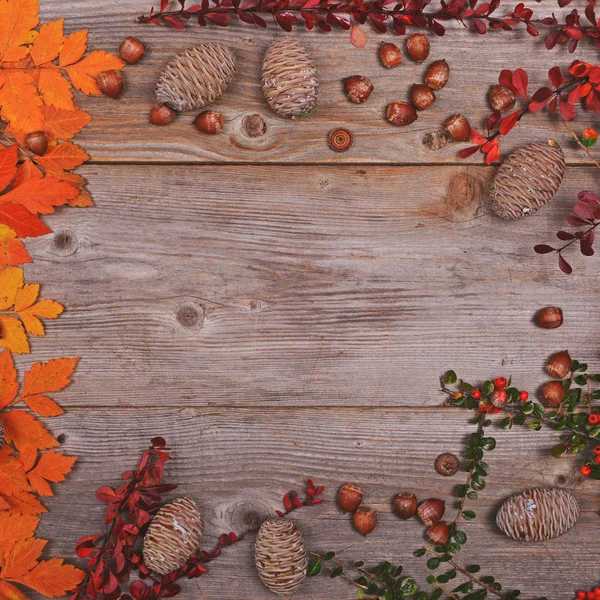 秋天的树叶锥体和橡子木背景 — — 平躺的 Au — 图库照片