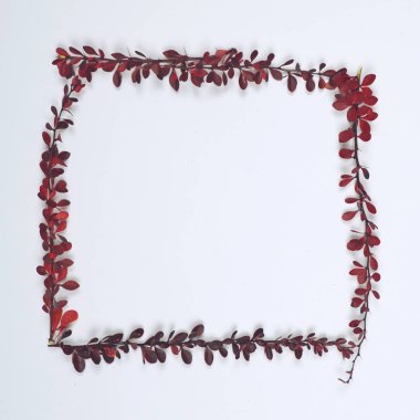 Düz sonbahar yaprakları çerçeve - şeklinde beyaz zemin üzerinde yatıyordu