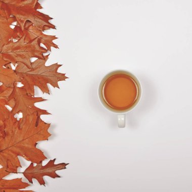 Mükemmel fincan çay ile sonbahar yaprakları - düz beyaz arka plan üzerinde