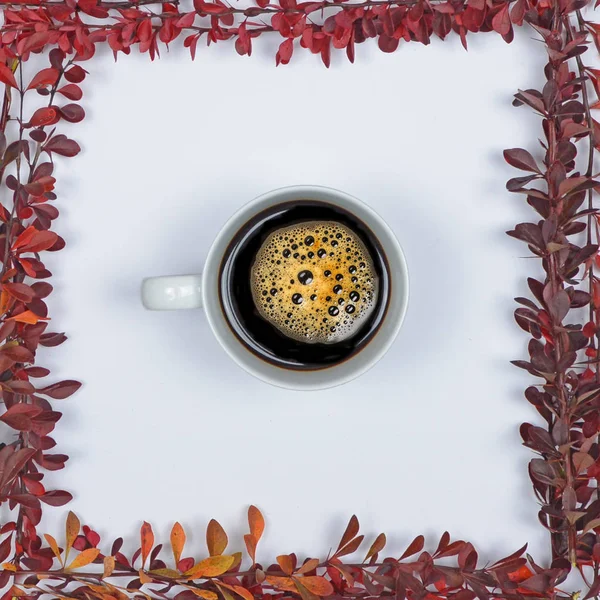 Tasse de café parfaite sur fond blanc avec des feuilles d'automne - F — Photo