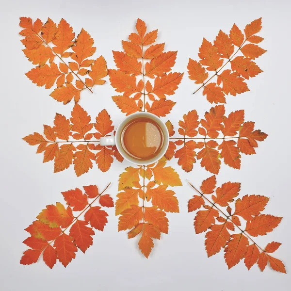 Perfekta kopp te på vit bakgrund med höstlöv - platt — Stockfoto
