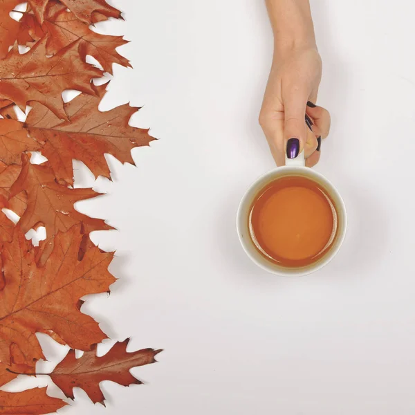 Femme main tenant parfaite tasse de thé sur fond blanc avec un — Photo